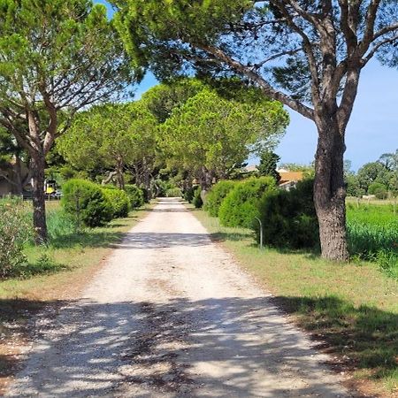 Отель Mas Du Grand Peloux Пор-Сен-Луи-дю-Рон Экстерьер фото